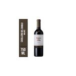 Vinho Chileno Casillero Del Diablo Malbec 750ml